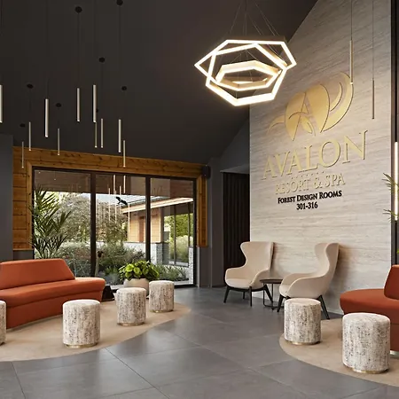 Hotel Avalon & Miskolc